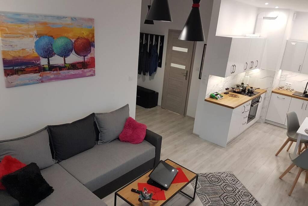 Komfortowy Nowoczesny Apartament Kustronia Z Garazem Balkonem Wanna Bielsko-Biala Exterior foto